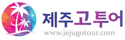 제주고투어